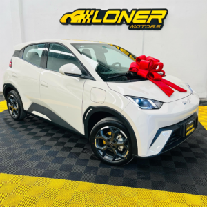 BYD DOLPHIN MINI 2026